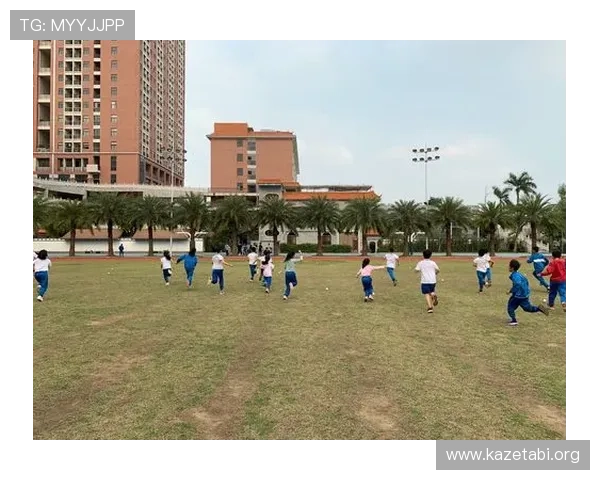 三升体育在青少年体育培训中的优势与特色全面解析