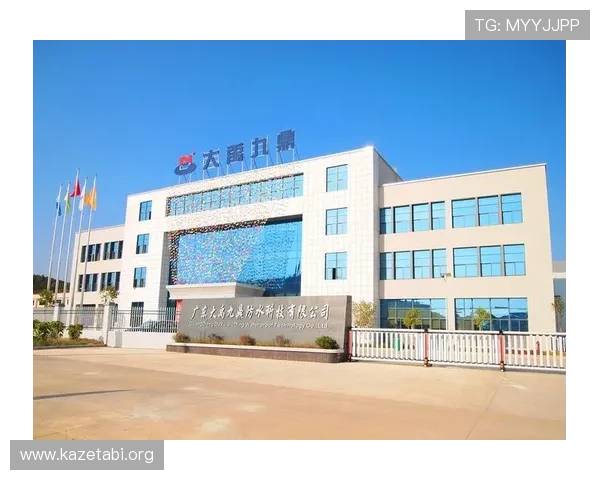 九鼎体育品牌介绍与发展历程全面解析助你了解行业领军企业的崛起之路